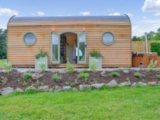 Bracken - Uk34842 - Straiton - 1
