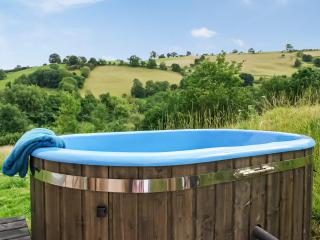 Barcud Coch - Uk44539 - Hirnant - 9