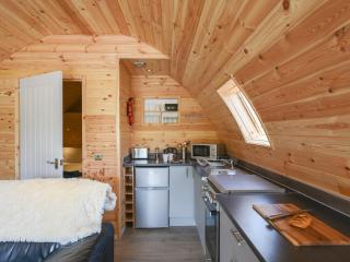 Barcud Coch - Uk44539 - Hirnant - 6