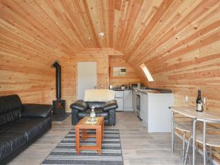 Barcud Coch - Uk44539 - Hirnant - 5