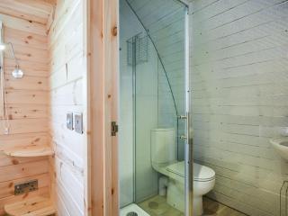 Barcud Coch - Uk44539 - Hirnant - 1