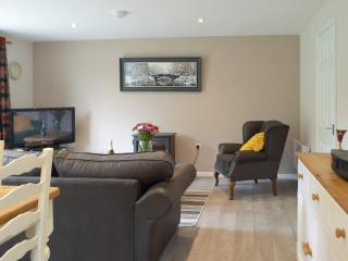 Llain Cottage - Llanina - 6