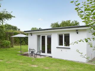Llain Cottage - Llanina - 8