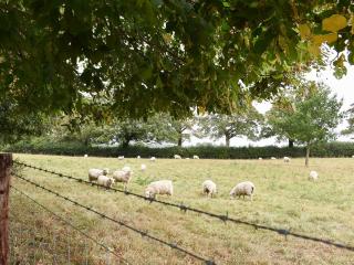 The Granary - Oxborough - 3
