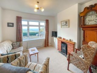 Bryn View Villa - Uk48825 - Mochdre - 0