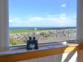 Bel-Mar - Whithorn - 3