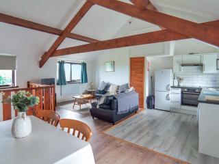 Crackington Cottage - Bude - 9
