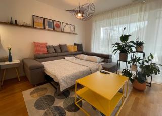 Spacious Apartment - Art Basel - Basilea - 4