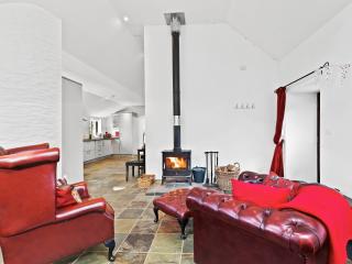 Kite Cottage - Capel-Ifan - 3