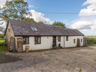 Kite Cottage - Capel-Ifan - 2