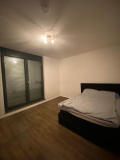 Gehobenes Apartment Süd-Schwarzwald zwischen Therme und See - Bad Säckingen - 5