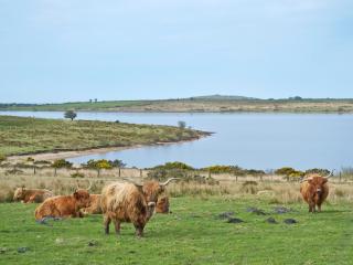 The Hurlers - Saint Cleer - 6