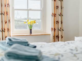 The Square - Hartland - 1