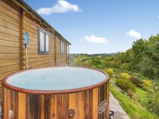 The Cabin Cefn Mawr - 7