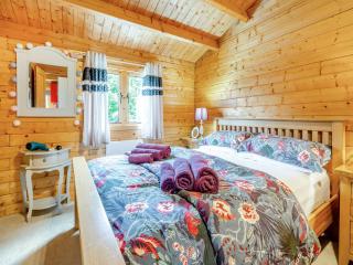 The Cabin Cefn Mawr - 1