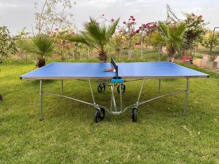 Peaceful Family Villa on a Farm with Private Pool and Stunning Mountain Views - 6