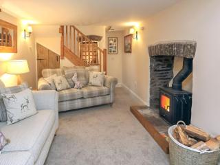 Coachingmans Cottage - Trecastle - 9