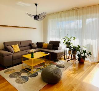 Spacious Apartment - Art Basel - Basilea - 0