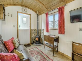 Shepherds Hut - Uk45529 - Buildwas - 9