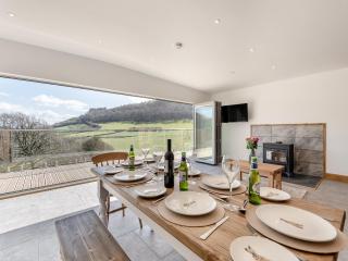 Larchwood Lodge - Old Radnor - 1
