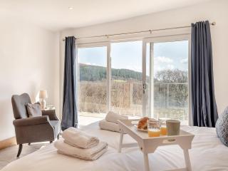 Larchwood Lodge - Old Radnor - 9
