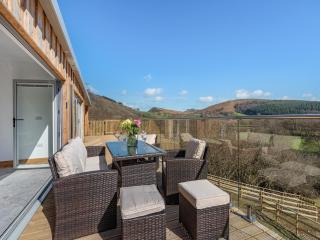 Larchwood Lodge - Old Radnor - 3
