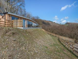 Larchwood Lodge - Old Radnor - 2