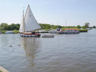 Ripples - Horning - 6