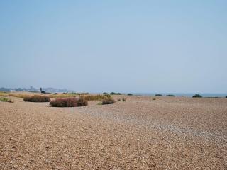 The Stables - E3491 - Saxtead - 3