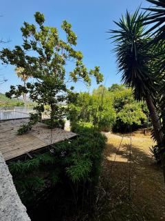 Rundinelle di Saint-Florent - Saint-Florent - 9