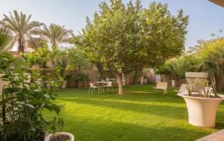 واحه ضيان Oasis of Dhiyan - - 4
