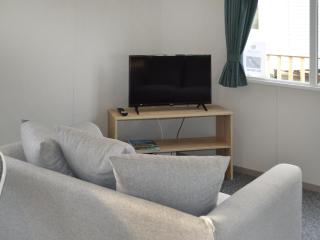 The Falcon - Uk45538 - Dyke - 6