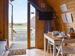 Barn Scar-Uk1394 - Corney - 9