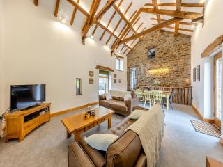Ty Carreg - Llanbadarn-fawr - 9