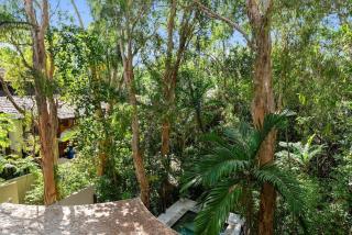 Violet Drift - Beachside Escape in Sea Temple Resort - Palm Cove - 2