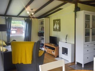 Sherdale Lodge Uk34847 - Maesmynis - 9