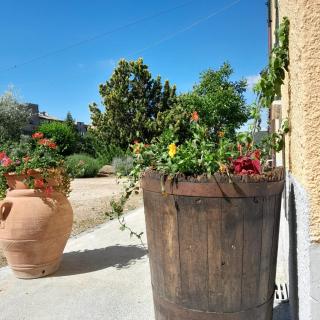 Il Casale di Fiore - Cannara - 9