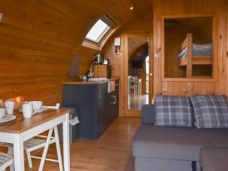 Barn Scar-Uk1394 - Corney - 8
