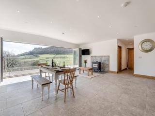 Larchwood Lodge - Old Radnor - 6