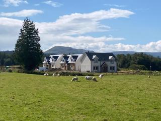 Fiadh Ruadh-Uk40008 - Gartmore - 9