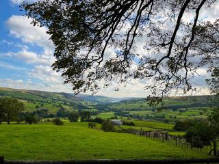 Martinsgate Snug - Middlesmoor - 0