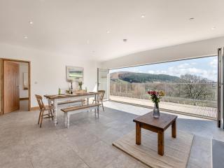 Larchwood Lodge - Old Radnor - 8
