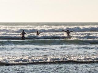 Sandpiper - Uk36291 - Hodgeston - 7