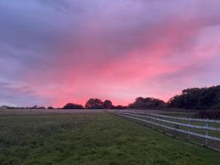 Kingfisher Lodge - Uk40017 - Halwill - 9