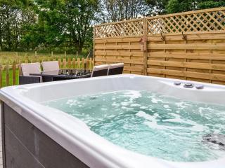 Hawthorn - Uk47620 - Hunmanby - 9