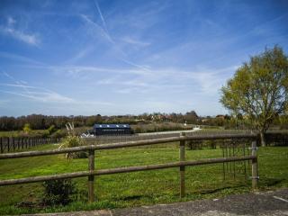 Periwinkle No,5 - Uk49249 - Althorne - 2