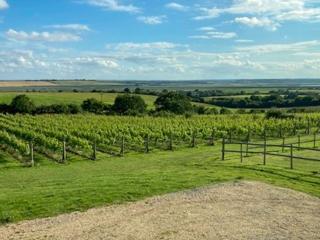 Holly No,2 - Uk49254 - Althorne - 4