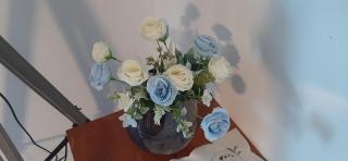 Palmer F3 Vue panoramique sur la Mer et Jardin 1 à 4 personnes - 3