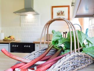 Club Cottage - Dummer - 5