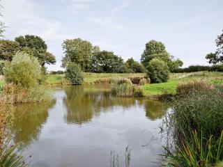 Mint - E4322 - Ludham - 1